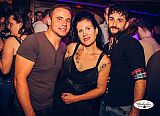 Hay Saturday 10062023